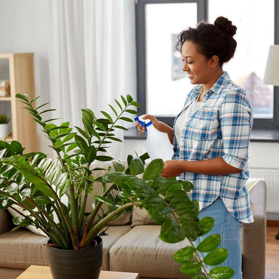 relaxdays Sprühflasche »24x Sprühflasche in Grün« 2 relaxdays Sprühflasche »24x Sprühflasche in Grün« – Bild 2