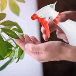 relaxdays Sprühflasche »3 x Sprühflasche weiß-grün«, 1 Liter 10 relaxdays Sprühflasche »3 x Sprühflasche weiß-grün«, 1 Liter -Neuetischkultur Verkäufe 2022 3718dcbd a14f 5a1e be4a 80dd500d27f5