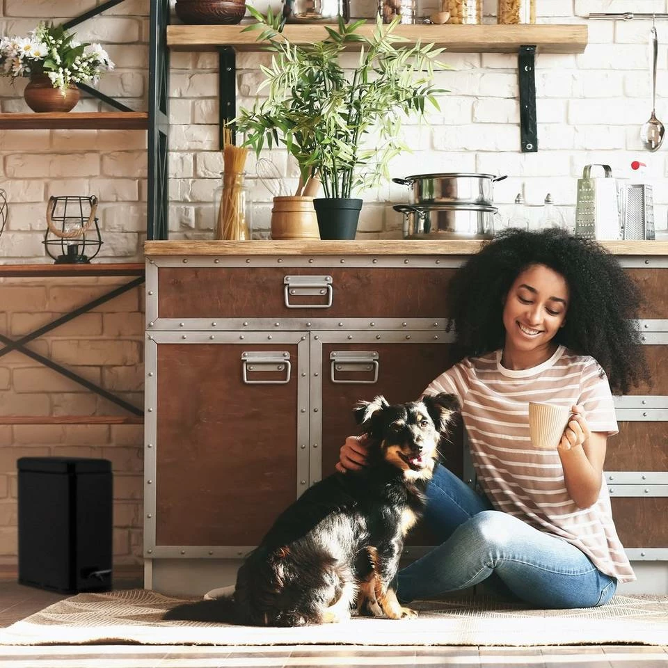 relaxdays Kosmetikeimer »Kosmetikeimer 5 L mit Absenkautomatik«, hellgrau Schwarz Silber, Weiß Silber, Grau Silber 3 relaxdays Kosmetikeimer »Kosmetikeimer 5 L mit Absenkautomatik«, hellgrau Schwarz Silber, Weiß Silber, Grau Silber – Bild 3