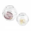relaxdays Aufbewahrungsbecher »Zwiebeldose transparent 2er Set«, Kunststoff