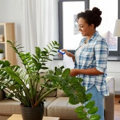 relaxdays Sprühflasche »12x Sprühflasche in Blau« 10 relaxdays Sprühflasche »12x Sprühflasche in Blau« -Neuetischkultur Verkäufe 2022 e9bcd7b7 4677 598e 9f4f 871f58057cb8